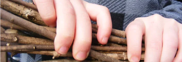 Hands holding a bunch of sticks